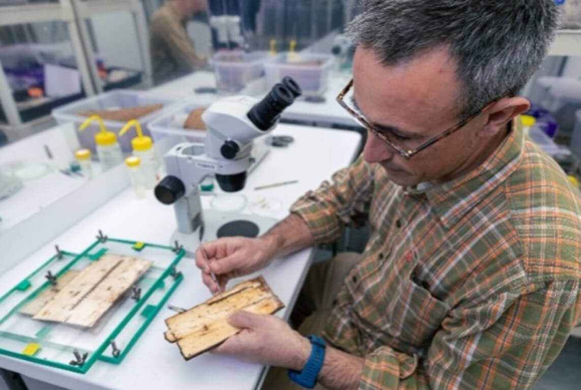 Scientist in lab