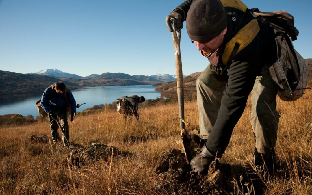 Mapping attitudes and cultural connections to lost tree species and their restoration