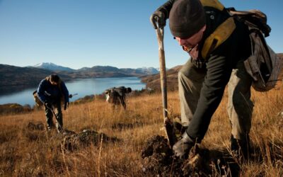 Applying dendrochronology for genomic resilience