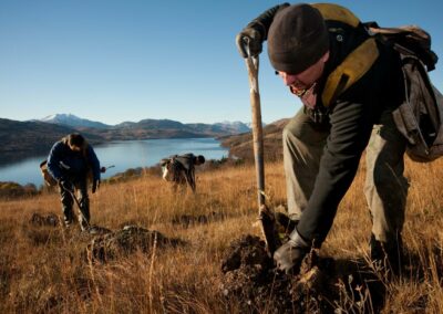 Mapping attitudes and cultural connections to lost tree species and their restoration