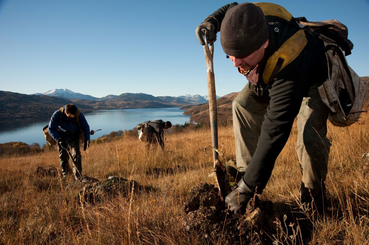 Three people on a hillside above a lake planting trees