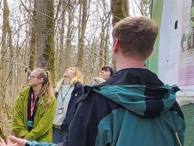 Woodland setting, several young people looking up into the air