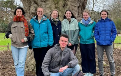 Centre for Forest Protection Internship Vacancies – 2025/26