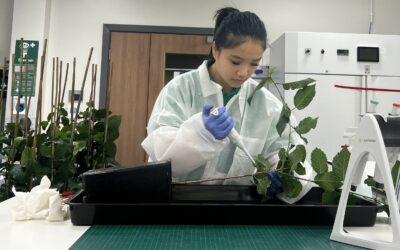 Defra Announces New Funding for the Centre for Forest Protection