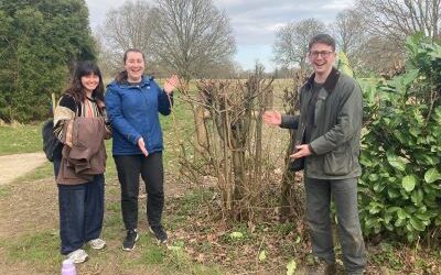 Intern Diary – Catherine on Mapping Elm