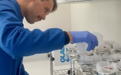 Intern diary – Josh the nematode nerd