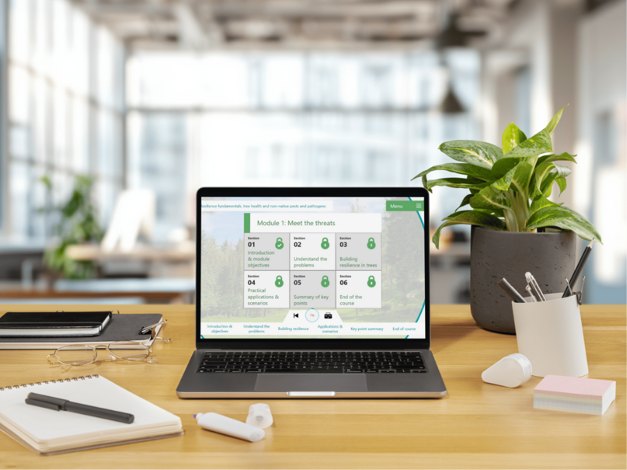 A group of 13 people dressed in winter clothing (thick jackets, walking trousers and boots), stood on a path to the left of a forest, with a valley in the background.