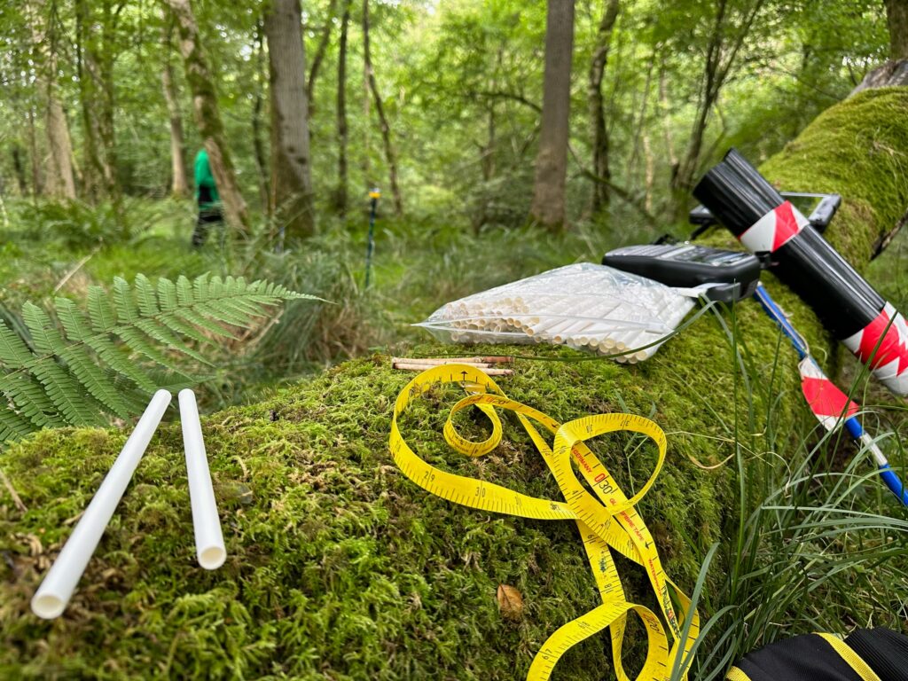 Close-up of dendrochronology field equipment placed on a moss-covered fallen tree in a forest. Visible items include a yellow measuring tape, two white plastic tubes, a sealed bag of small samples, and a black device with red-and-white striped markers attached to poles. The background shows dense green foliage and tree trunks, with a person standing further away among the vegetation.