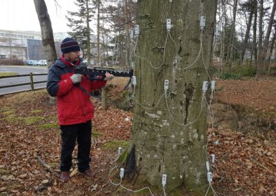 PhenoGenDT – Phenology, Genomics, and Non-Destructive Testing; A Comprehensive Approach to Detecting, Understanding, and Reducing Oak Shake