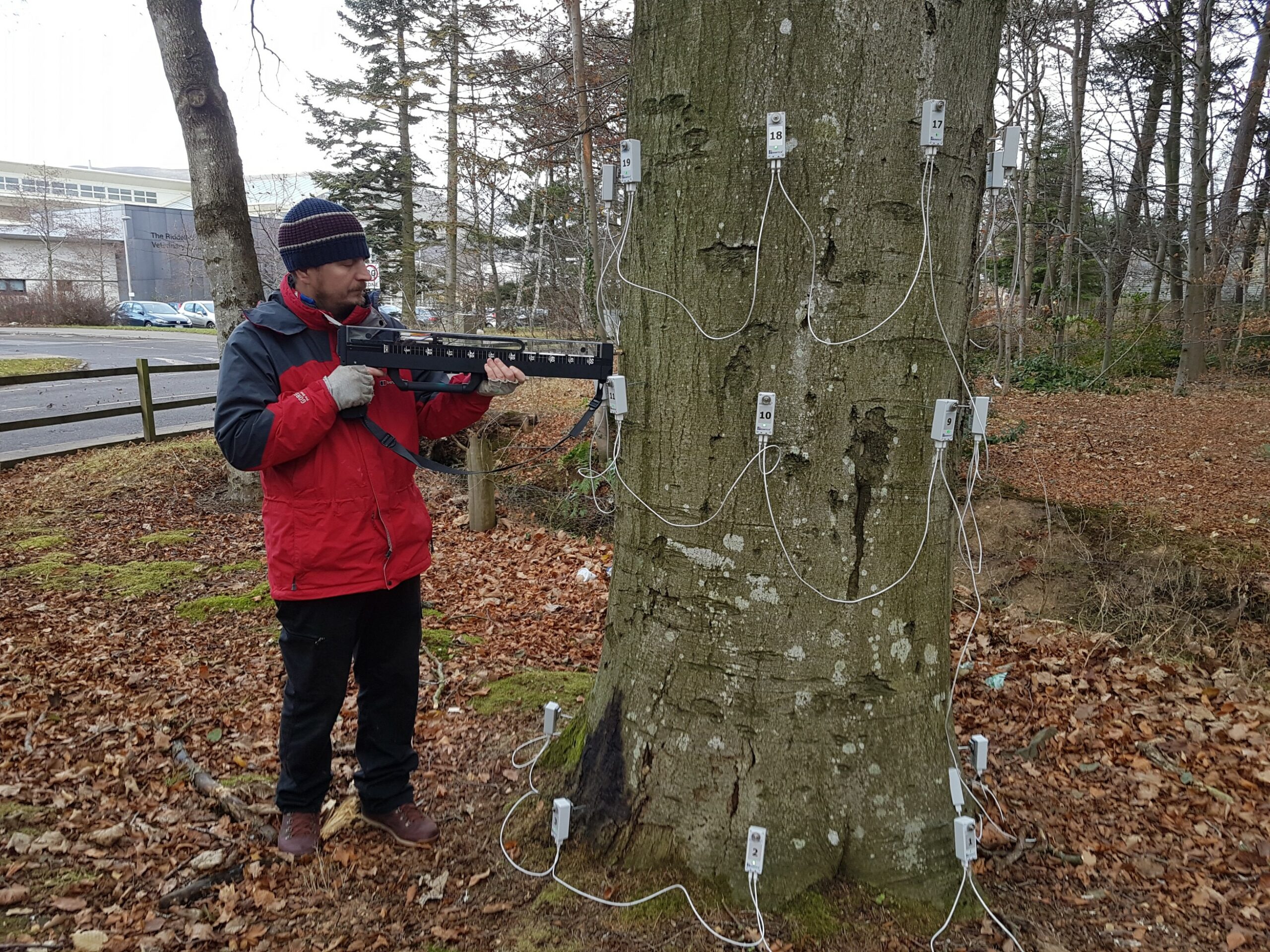 A man in a red jacket and black trousers using a resistograph on a tree