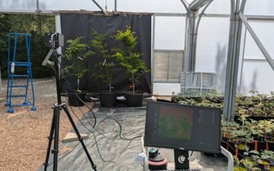 Innovating remote early detection and response to tree disease