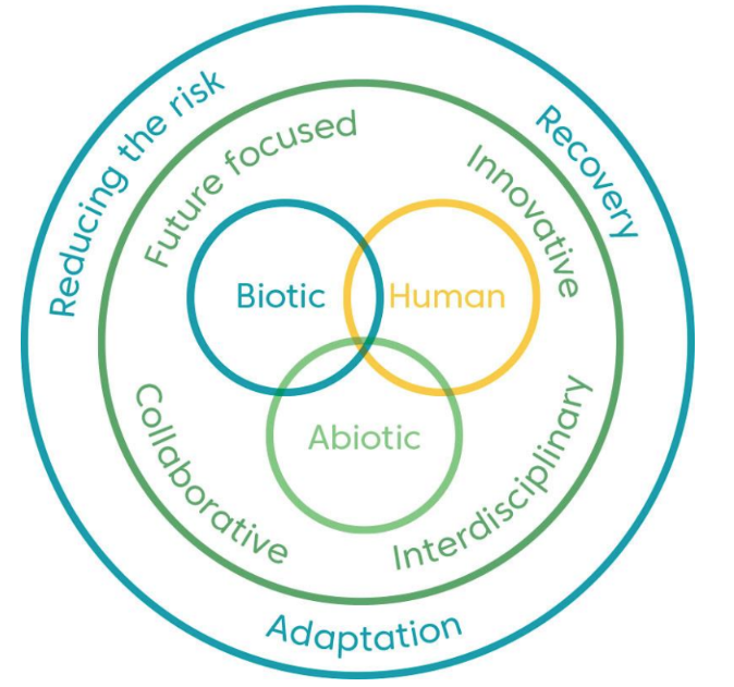 CFP Research Framework schematic