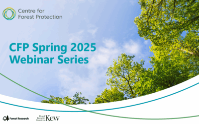 Watch our Spring 2025 webinar series & intern talks