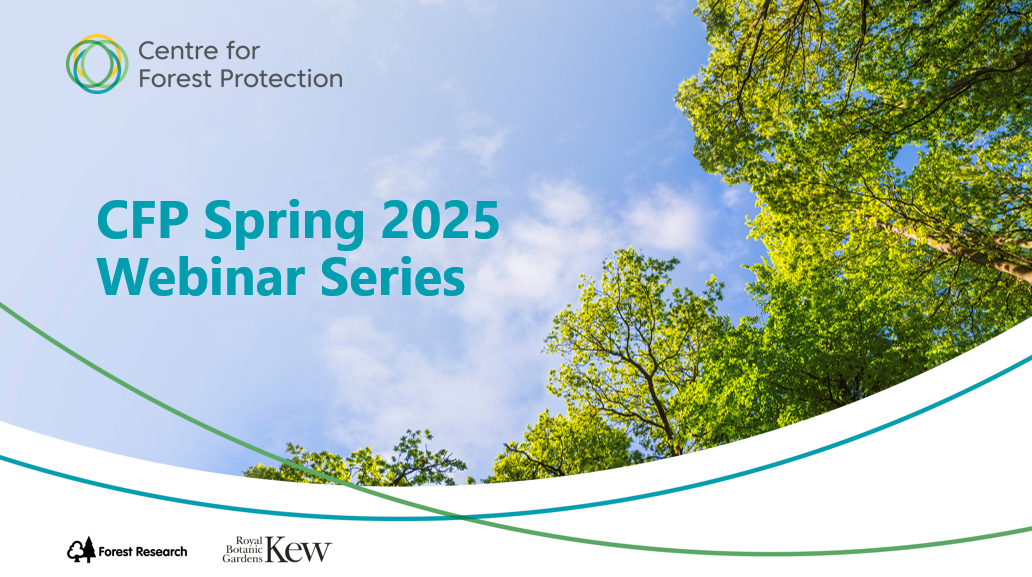 Watch our Spring 2025 webinar series & intern talks