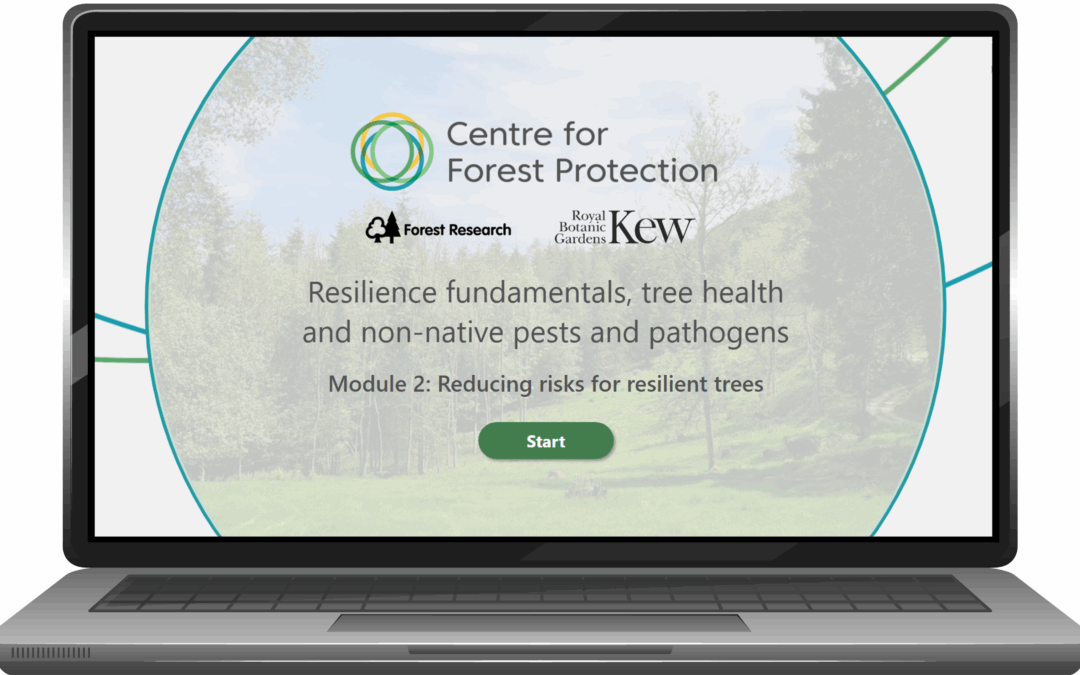 New e-learning module available