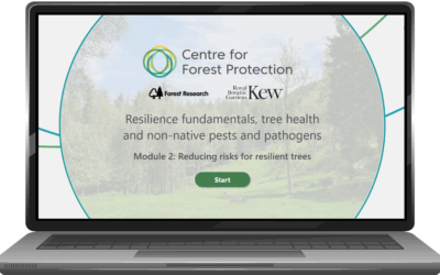 New e-learning module available