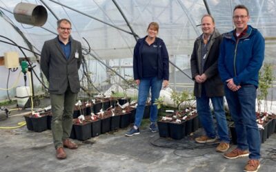 Speed Breeding Project Takes Root at Niab, East Malling