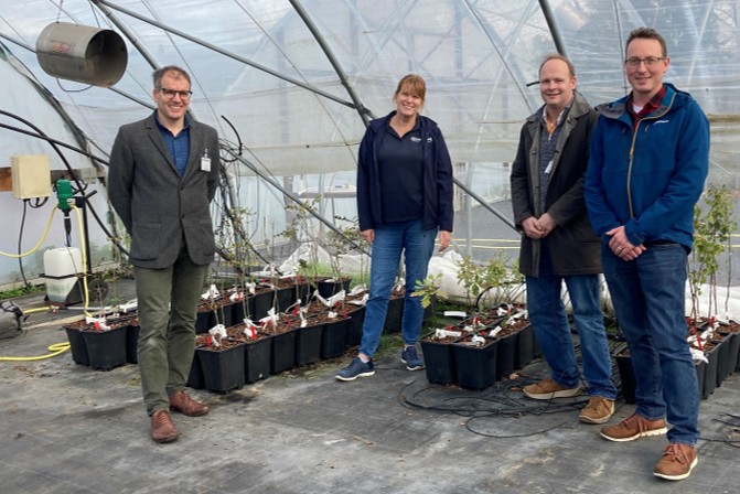 Speed Breeding Project Takes Root at Niab, East Malling