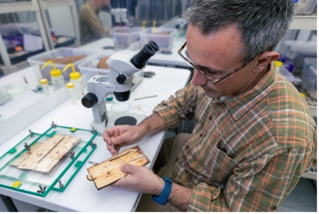 A Scientist at Work
