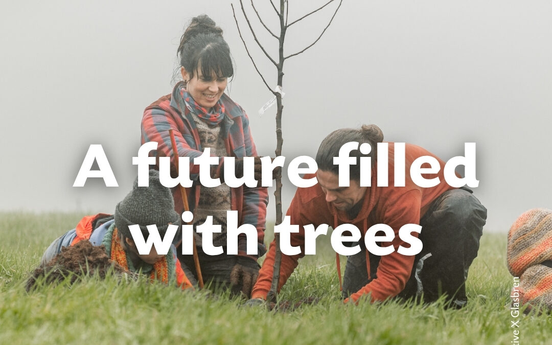 A Future Filled with Trees: National Tree Week celebrates it’s 50th anniversary