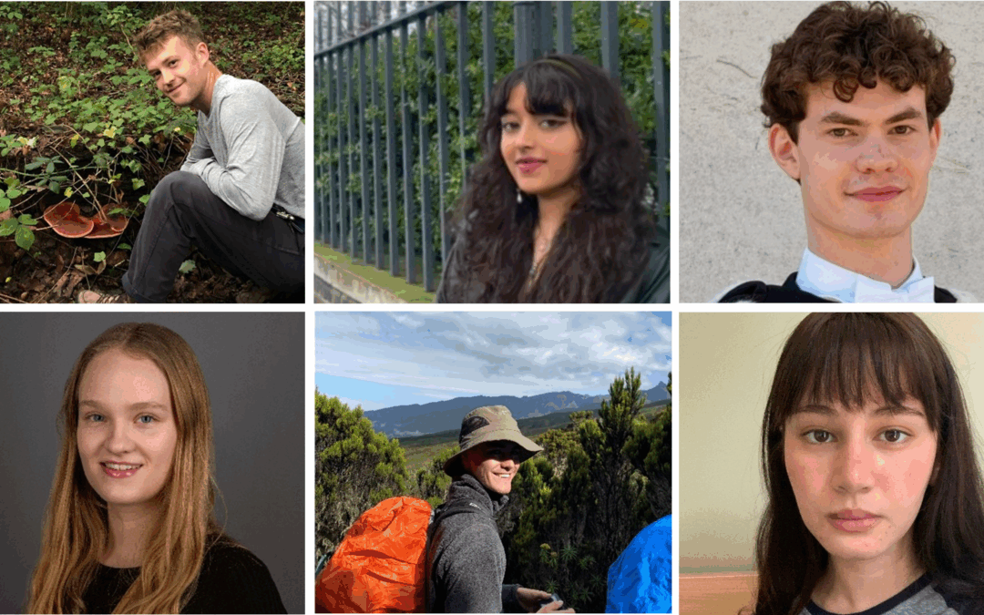 New CFP interns hit the ground running!