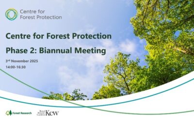 Phase 2: Highlights from Our First Biannual Meeting