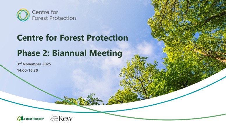 Phase 2: Highlights from Our First Biannual Meeting