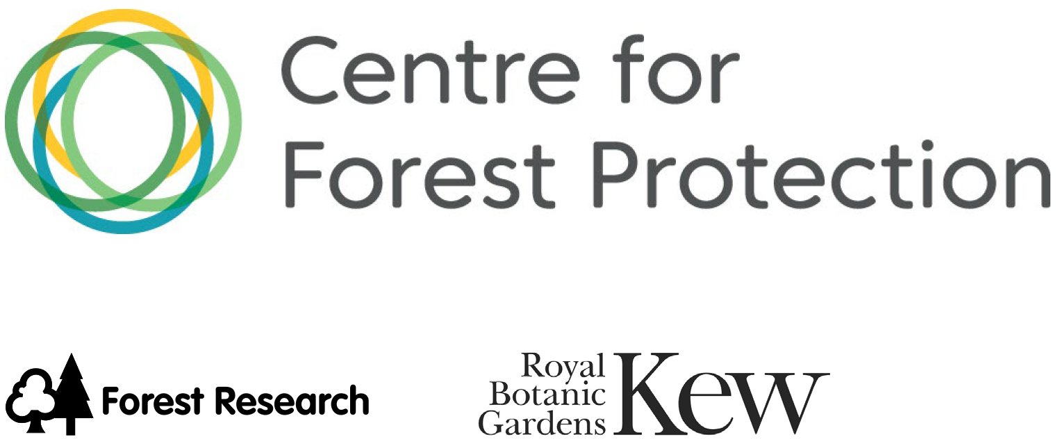 PowerPoint Presentation