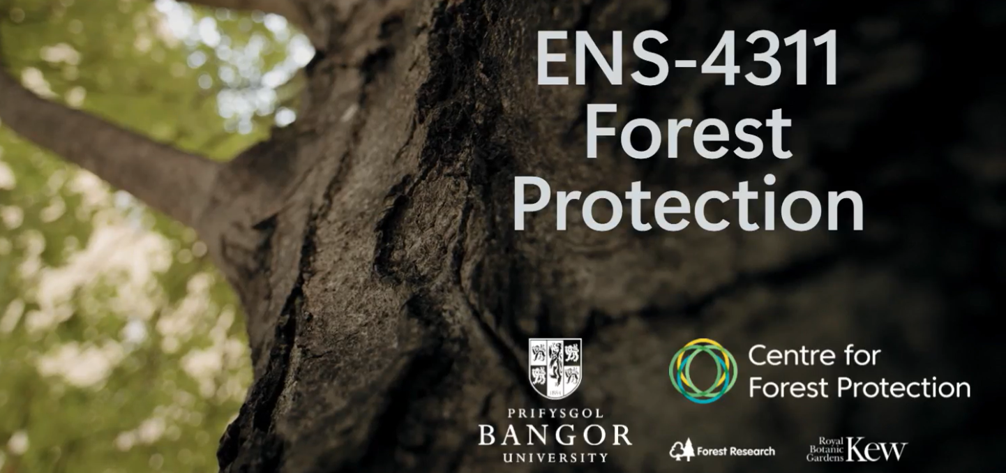 A group of 13 people dressed in winter clothing (thick jackets, walking trousers and boots), stood on a path to the left of a forest, with a valley in the background.