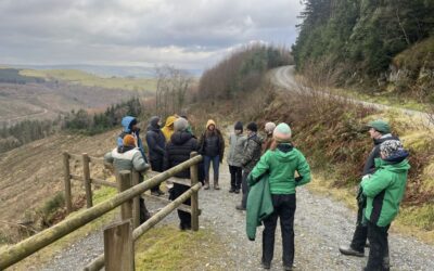 Bangor University and Centre for Forest Protection Module Tackles UK and Global Forest Health Crisis
