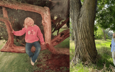 Sweet Resilience: Growing a Career in Tree Genomics