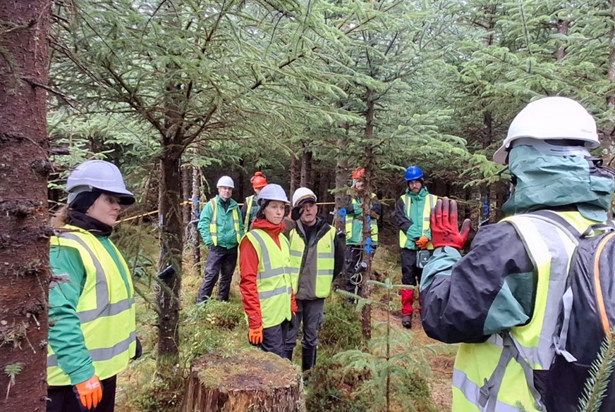 Shaping understanding of Continuous Cover Forestry to reduce windthrow
