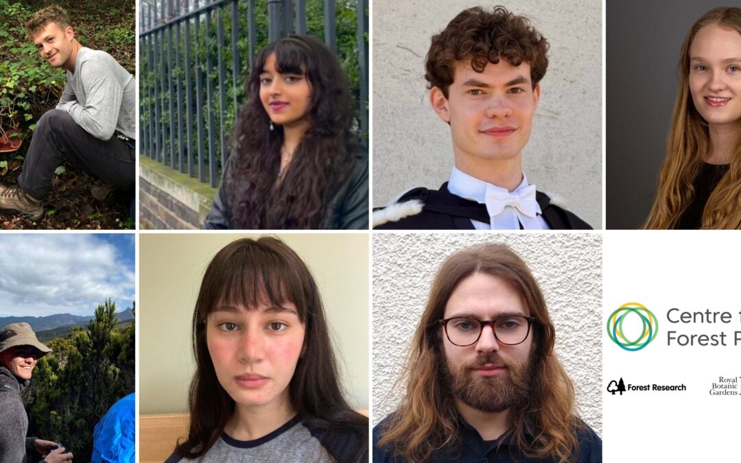 New CFP interns hit the ground running!