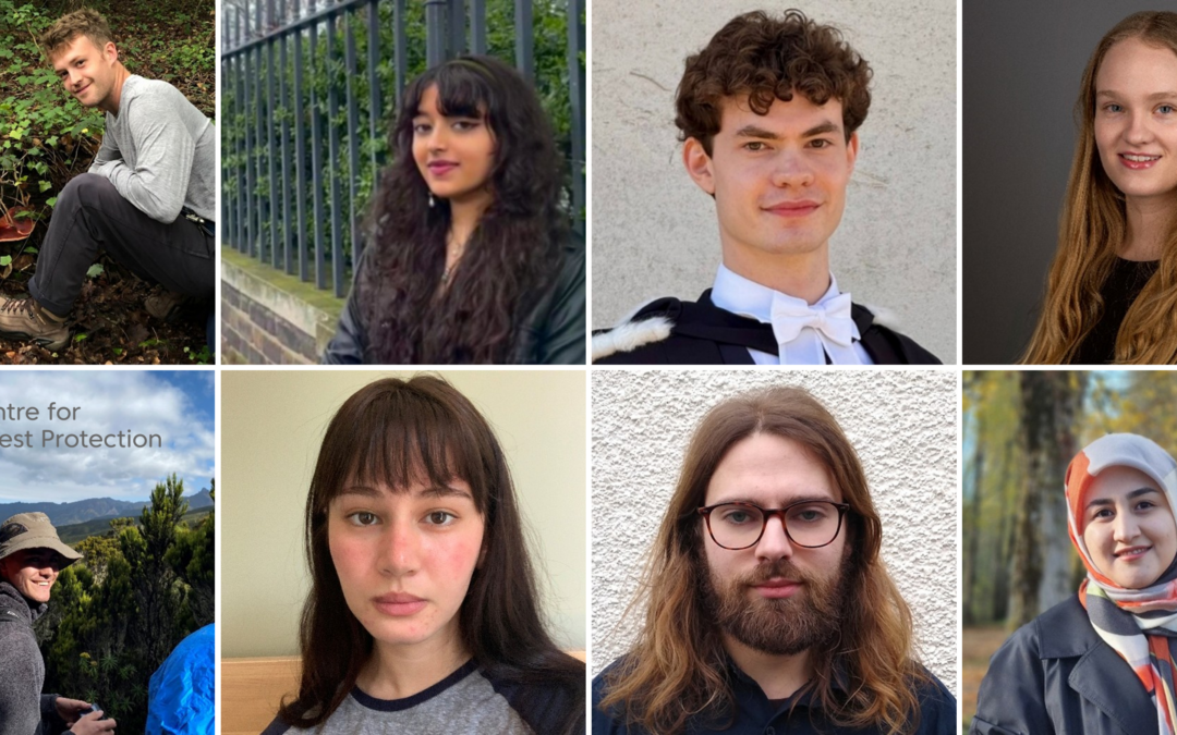 New CFP interns hit the ground running!