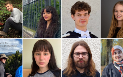 New CFP interns hit the ground running!