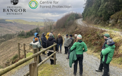 Press Release: Bangor University and Centre for Forest Protection Module Tackles UK and Global Forest Health Crisis