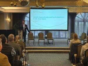 A speaker stands at a podium in a conference room presenting to an audience. Behind them is a large projection screen displaying a slide titled “Genetic basis of traits and local adaptation in UK silver birch,” with logos for the Centre for Forest Protection, Forest Research, and Kew. Several chairs are arranged on the stage, and attendees are seated facing forward. The room is decorated with hanging gold ornaments and features large windows with drawn curtains.