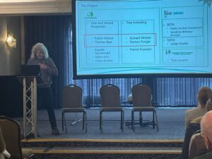 A presenter stands at a podium in a conference room, speaking to an audience. A large projection screen behind them displays a slide titled “The Project,” showing a table of team members and work areas related to tree and wood properties, tree breeding, and associated research groups. Several chairs are arranged on the stage, and attendees are seated facing the screen. The room has dark curtains and decorative wall lights.
