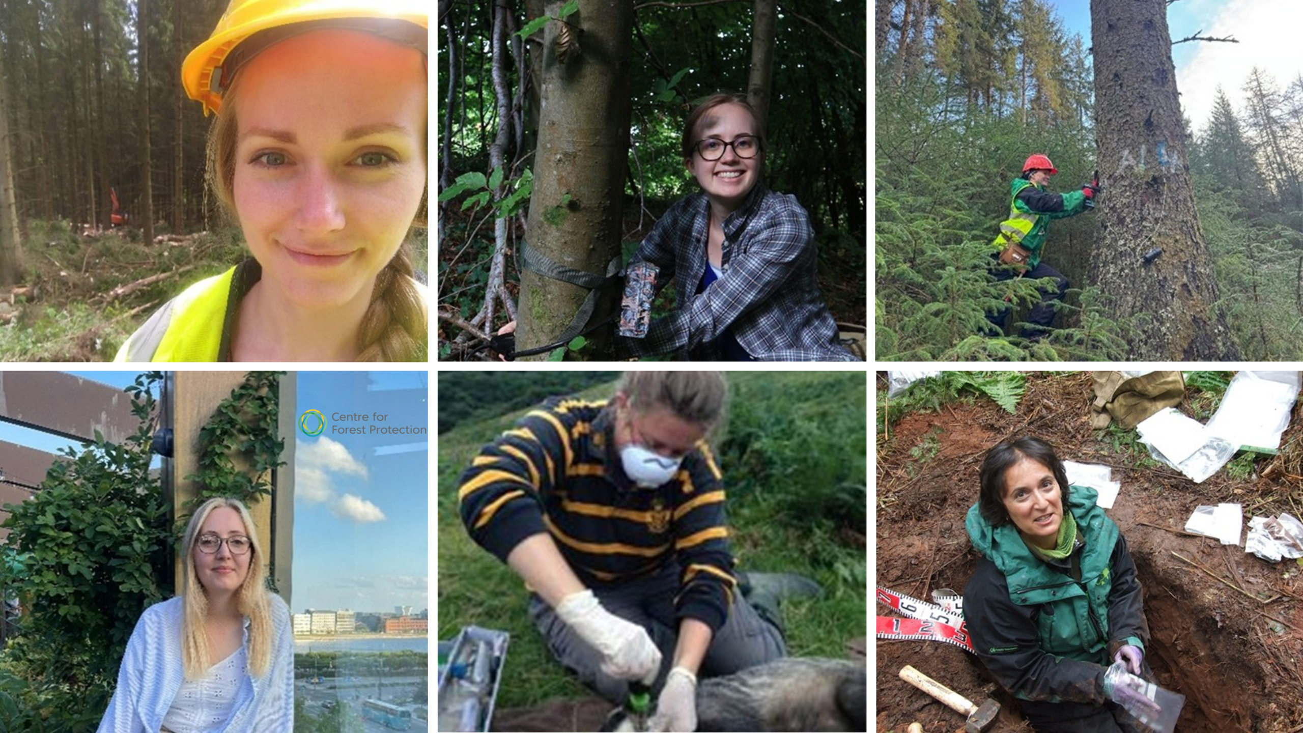 A collage of six photos showing people working in forest and outdoor research settings. The images include individuals wearing safety gear in wooded areas, someone taking notes beside a tree, a person smiling while sitting on the ground in a forested site, someone using tools while wearing gloves and a mask, and another person seated outdoors near plants.