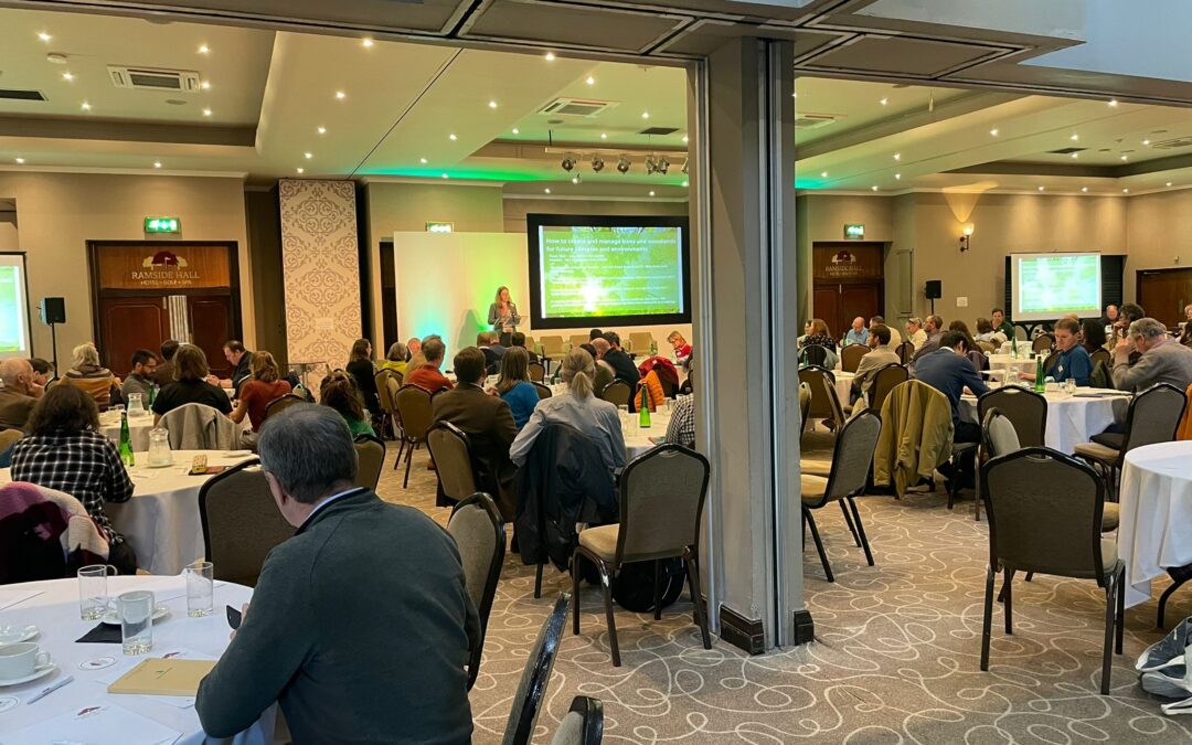 Celebrating International Day of Forests: Highlights from Britain’s Forest Future: Research-Practice Exchange