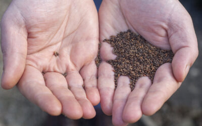 Knowledge synthesis: How trees evolve under novel conditions