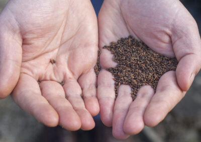 Knowledge synthesis: How trees evolve under novel conditions