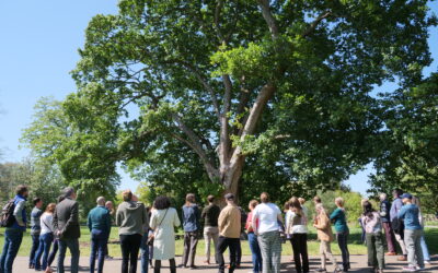 Centre for Forest Protection celebrates fourth anniversary!
