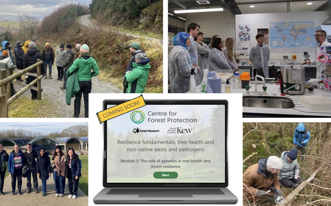 Supporting the next generation of foresters and tree health scientists