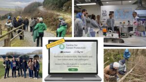CFP Education & Training Programme © Crown Copyright Forest Research (CFP). Composite image of five individual images with a white border around each. The top left image shows a group of people wearing warm outdoor jackets standing and talking on a gravel forest path beside a wooden fence, with hills and bare trees in the background and a winding road running above the slope. The top right image shows a group of people wearing lab coats standing around a laboratory bench, listening to a person speaking. The lab contains sinks, equipment, storage shelves with boxes and supplies, and a large world map on the wall behind them. The bottom left image shows six people standing outdoors on a paved path, with modern curved-roof buildings and trees behind them, posing together on a sunny day. The bottom central image shows a laptop screen showing a Centre for Forest Protection online course page about tree health, forest resilience, and genetics, with logos for Forest Research and Royal Botanic Gardens, Kew, and a “Coming soon” badge. Finally, the bottom right image shows three people working together in a wooded area, examining a fallen tree branch and taking samples among dense undergrowth.