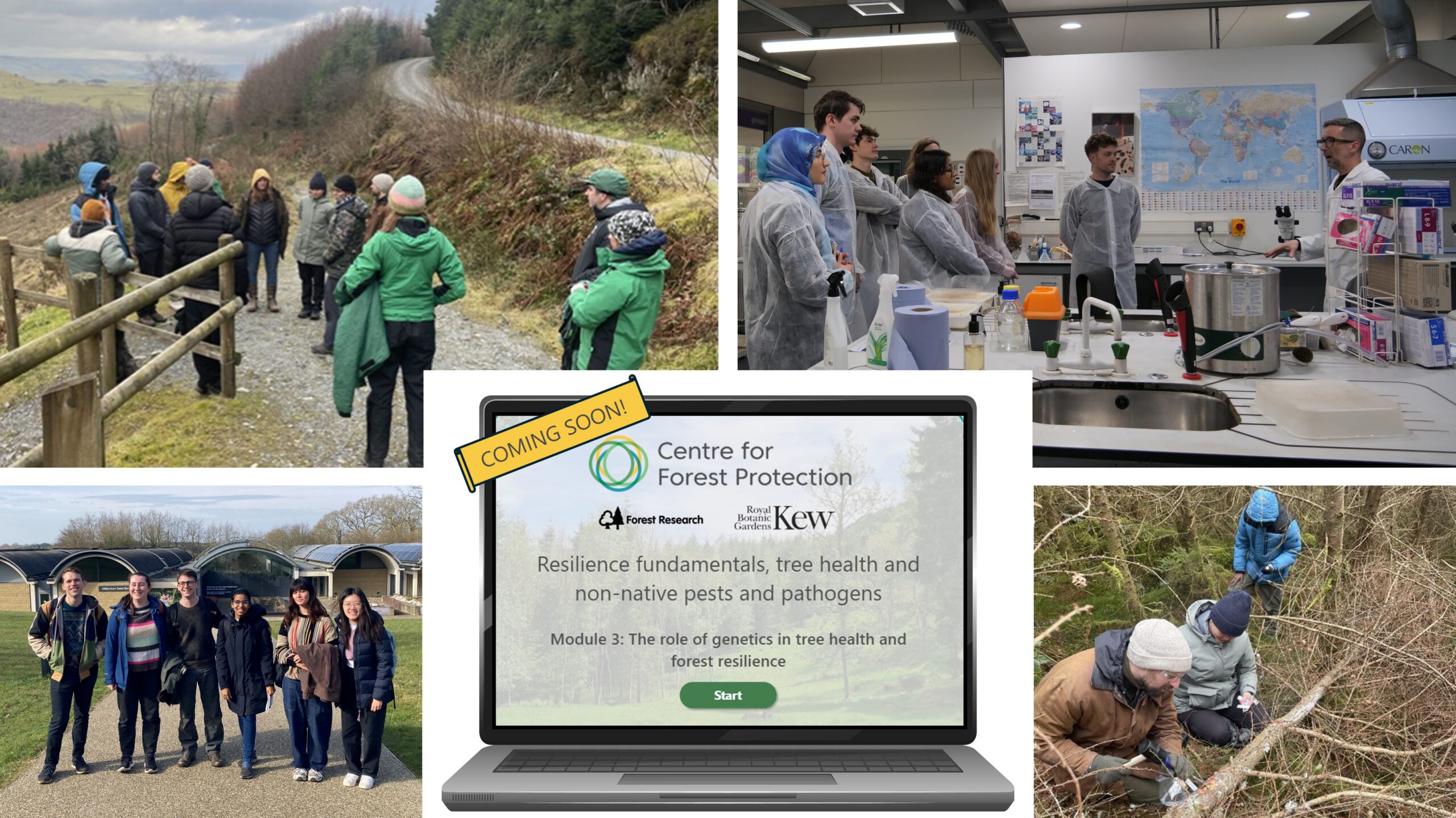 Composite image of five individual images with a white border around each. The top left image shows a group of people wearing warm outdoor jackets standing and talking on a gravel forest path beside a wooden fence, with hills and bare trees in the background and a winding road running above the slope. The top right image shows a group of people wearing lab coats standing around a laboratory bench, listening to a person speaking. The lab contains sinks, equipment, storage shelves with boxes and supplies, and a large world map on the wall behind them. The bottom left image shows six people standing outdoors on a paved path, with modern curved-roof buildings and trees behind them, posing together on a sunny day. The bottom central image shows a laptop screen showing a Centre for Forest Protection online course page about tree health, forest resilience, and genetics, with logos for Forest Research and Royal Botanic Gardens, Kew, and a “Coming soon” badge. Finally, the bottom right image shows three people working together in a wooded area, examining a fallen tree branch and taking samples among dense undergrowth.
