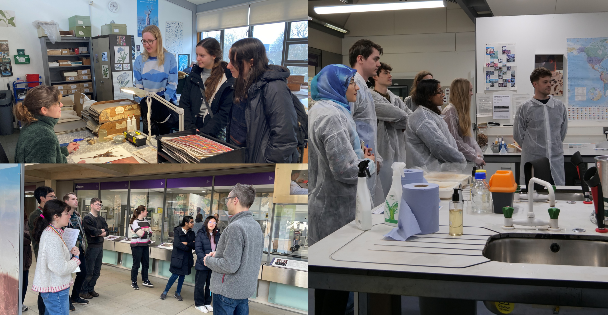Composite image showing groups of people during educational or laboratory visits. Top left: several people stand around a desk in a collections or archive room, looking at preserved specimens and stacked boxes under task lighting. Bottom left: a small group stands in a corridor or gallery space with display cases, listening to a guide speaking. Right: a close view of a laboratory bench with cleaning bottles, paper towels, containers, and a sink, with people in lab coats visible in the background.a group wearing disposable lab coats listens to a presenter in a laboratory with maps, posters, and lab benches in the background; bottles, paper towels, and a sink are visible in the foreground. 