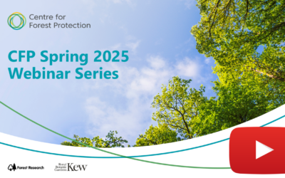 Watch our Spring 2025 webinar series & intern talks