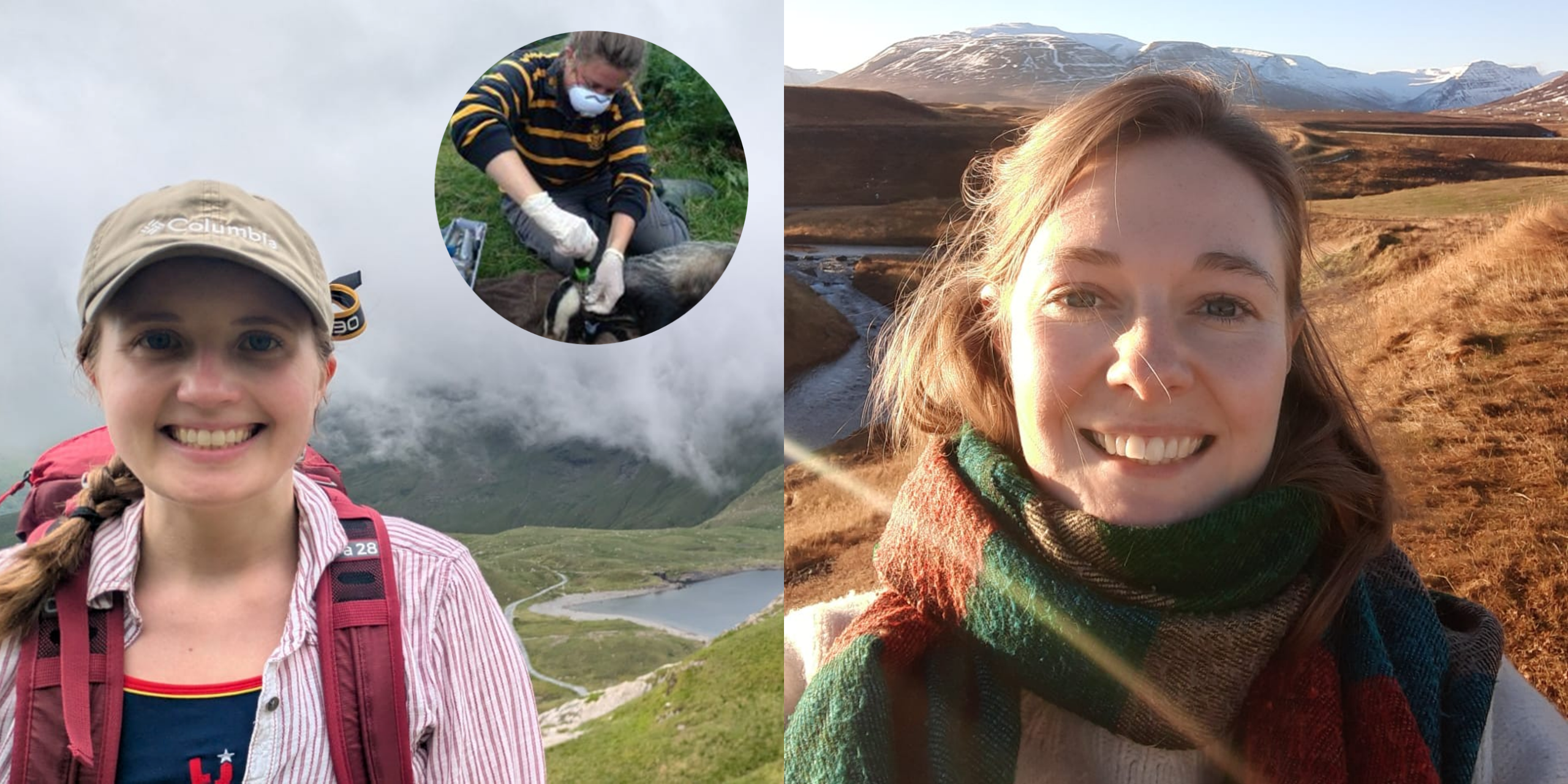 Dr Alexandra Ash (left), Dr Cally Ham (inset), and Fritha West (right) Side-by-side photos of researchers in outdoor environments. The left image shows a person wearing a cap and backpack in a mountainous landscape with low cloud, with a small inset photo showing another person undertaking fieldwork involving the handling of a mammal while wearing protective equipment. The right image shows another person outdoors beside a winding river in a moorland landscape, with mountains in the background and low sunlight.