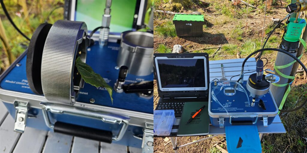 Side-by-side close-up photographs of portable field research equipment used for environmental measurements. The left image shows a leaf positioned inside a circular sensor chamber attached to a blue instrument case. The right image shows the complete monitoring setup outdoors, including a laptop, measurement console, probes, cables, and a tripod-mounted sensor in a young woodland planting site. Grass, saplings, and forestry equipment are visible in the background under bright daylight.